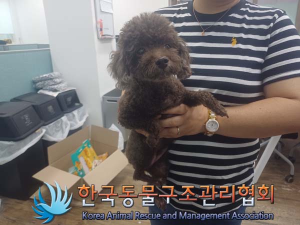 한국동물구조관리협회_411307202400433